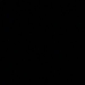 Meet your Posher, Lexy